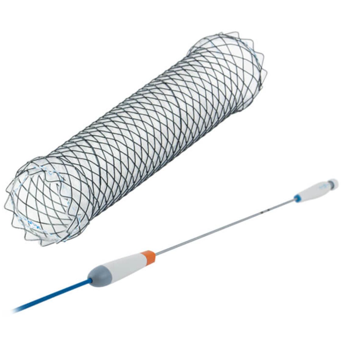 Stents traqueais e brônquicos TTS